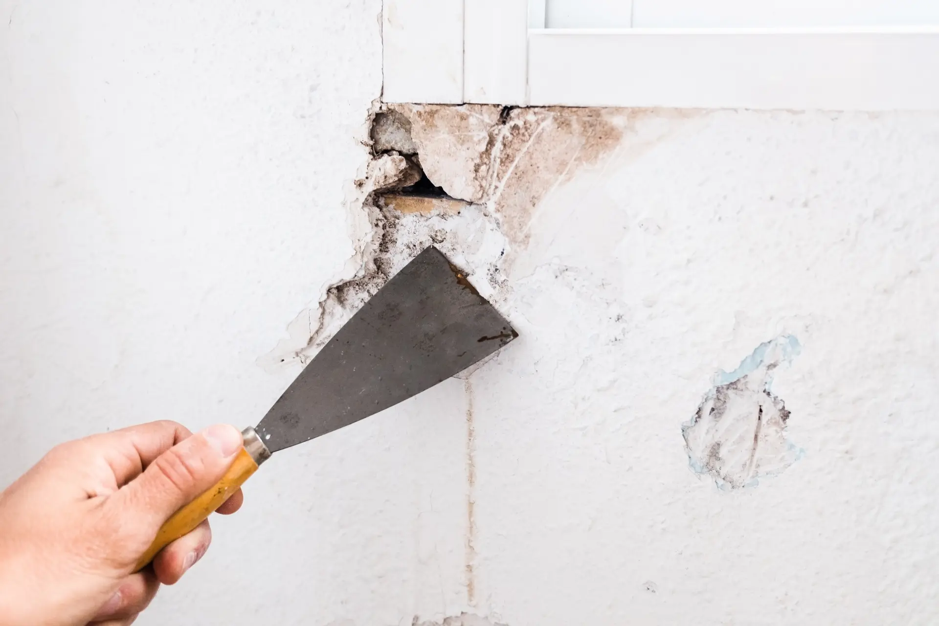 Proofing Your Home Against Rodents
