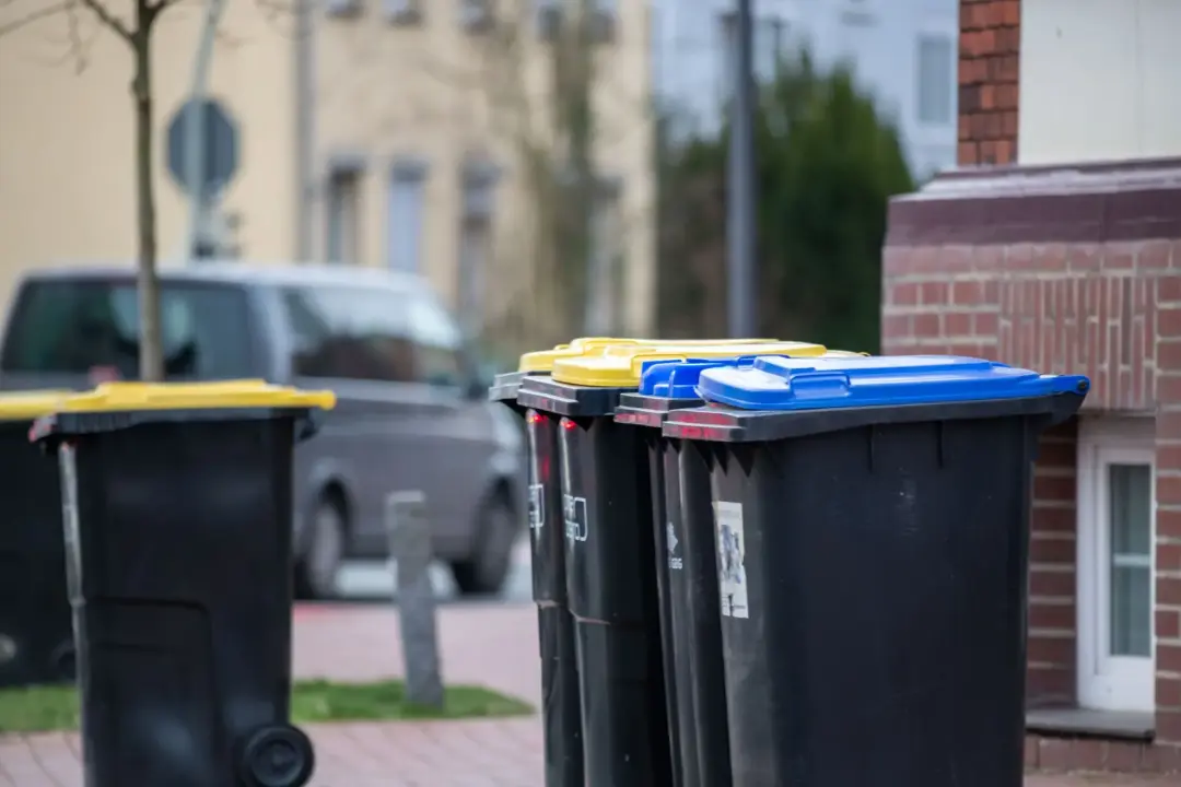 Keep Bins and Food Waste Contained